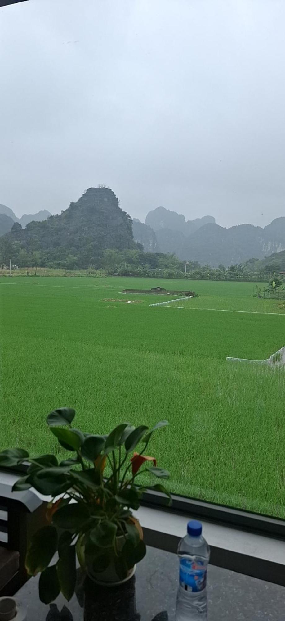 Trang An Rice Field Homestay Ninh Binh Exterior photo